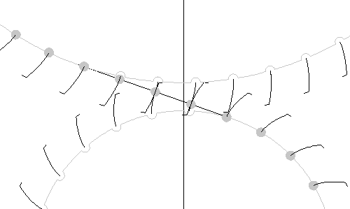 Evolvente afwikkeling